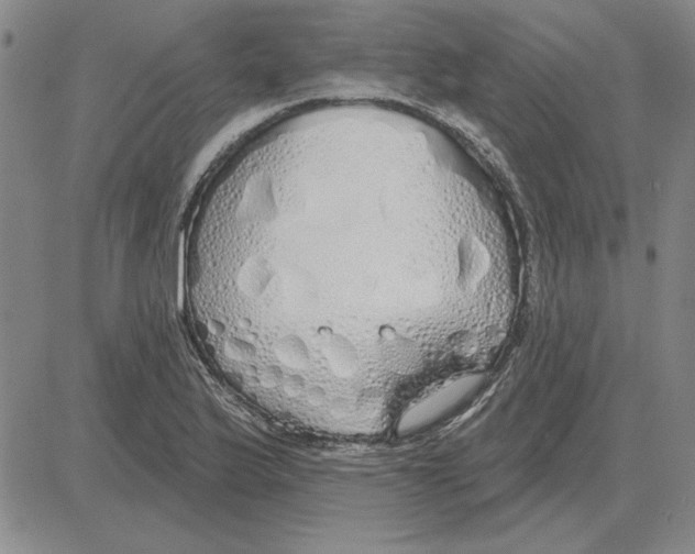 X0000080131175200701051412