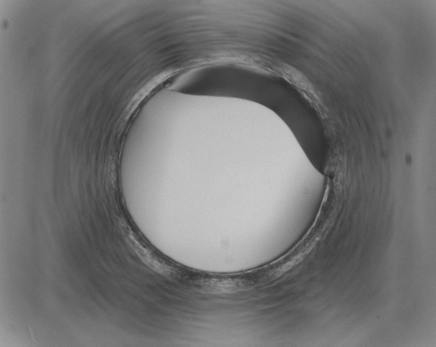 X0000080131177200701051412