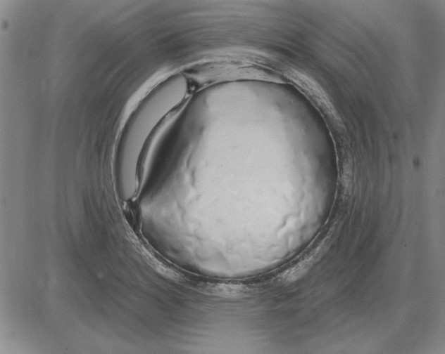 X0000080131180200701051412