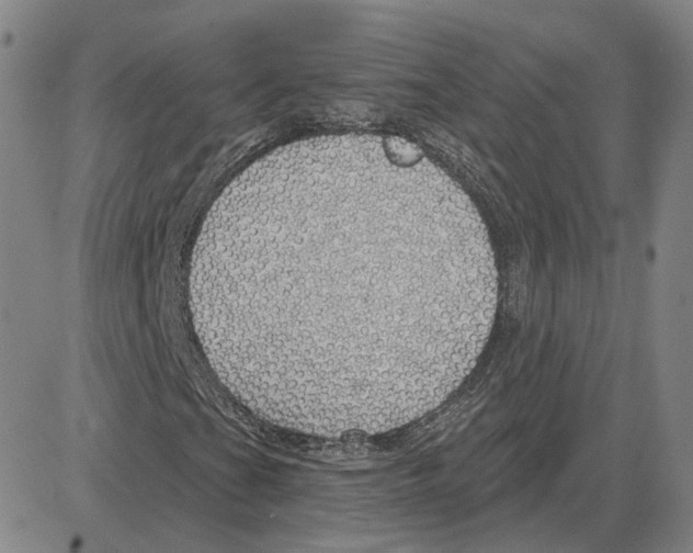 X0000080131201200701051411