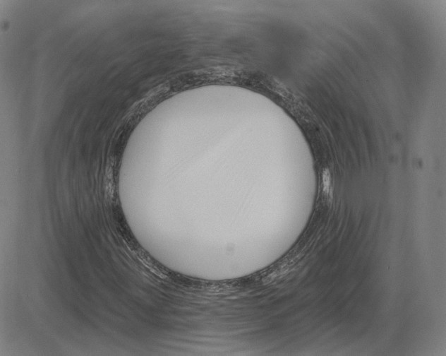 X0000080131203200701051411
