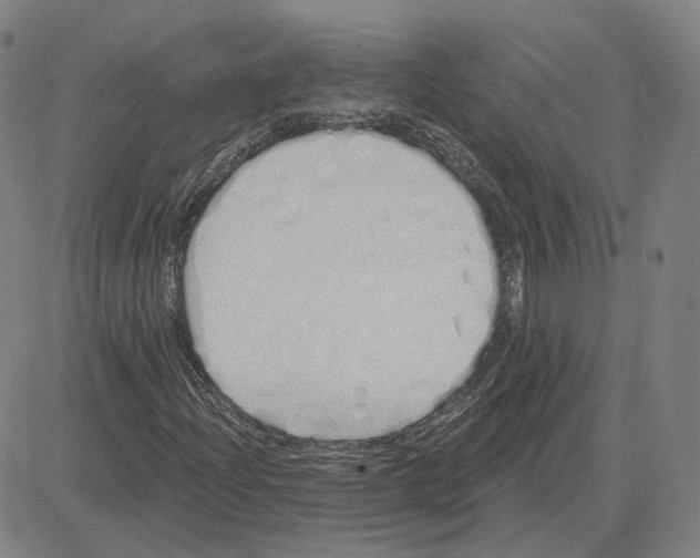 X0000080131204200701051411