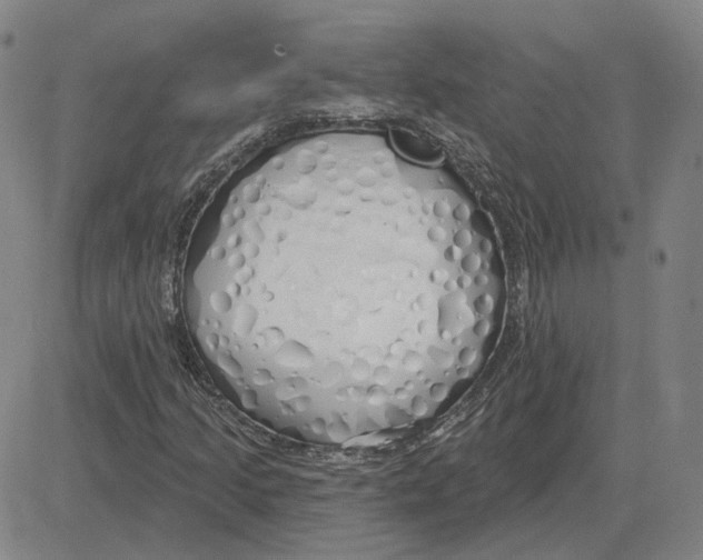 X0000080131205200701051411
