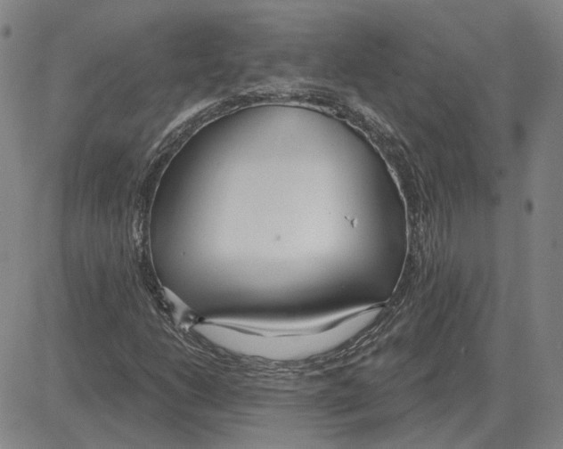 X0000080131206200701051411