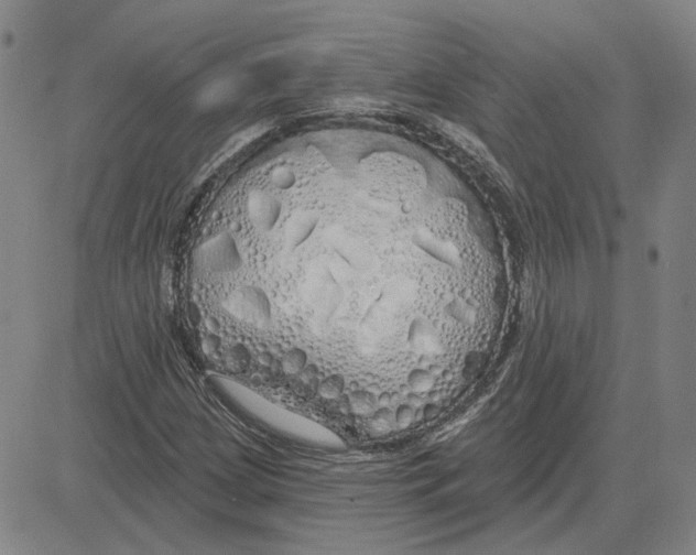 X0000080131209200701051411