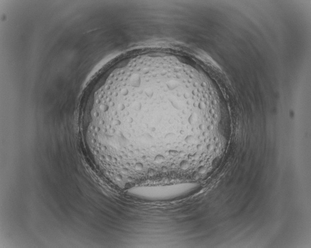 X0000080131216200701051411