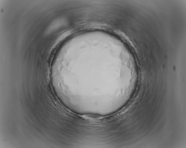 X0000080131219200701051411