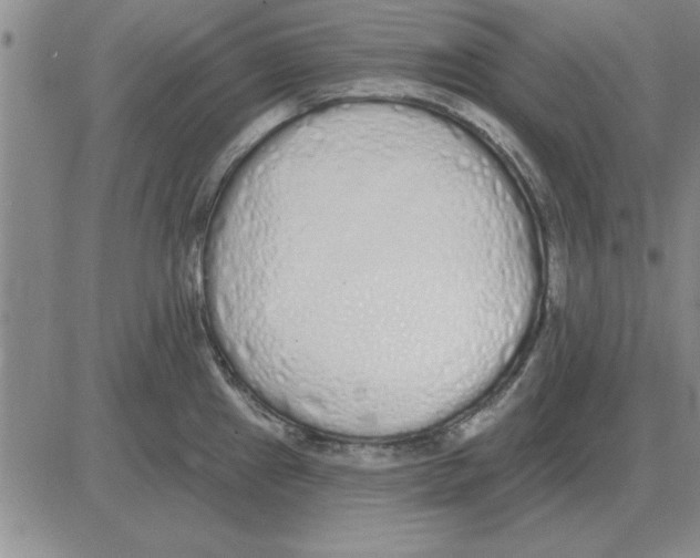X0000080131241200701051411