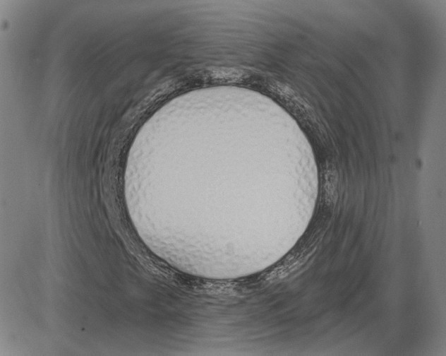 X0000080131249200701051411