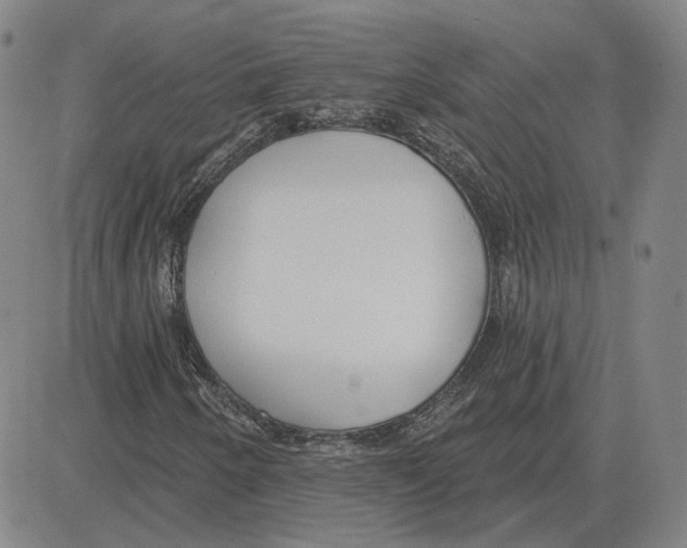 X0000080131250200701051410