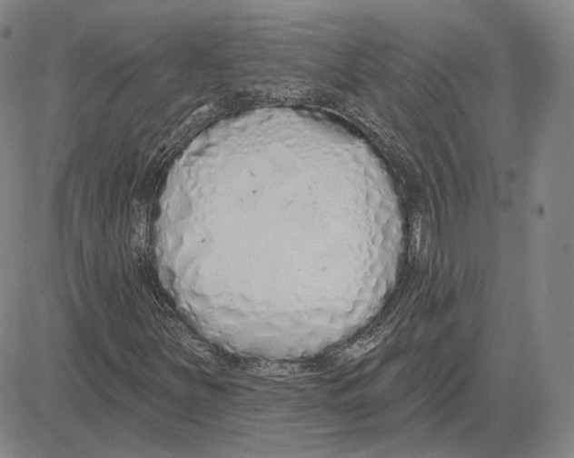X0000080131251200701051410