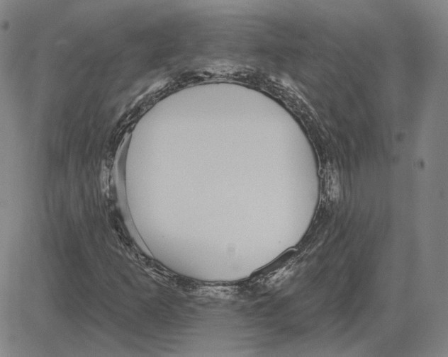 X0000080131253200701051410