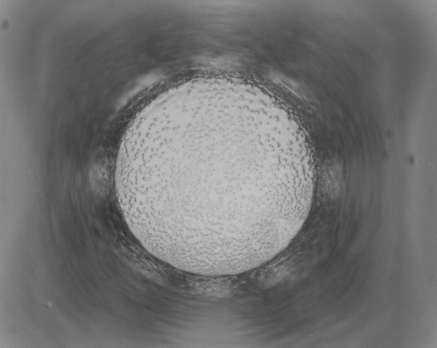 X0000080131254200701051410