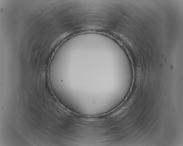 X0000080131257200701051410