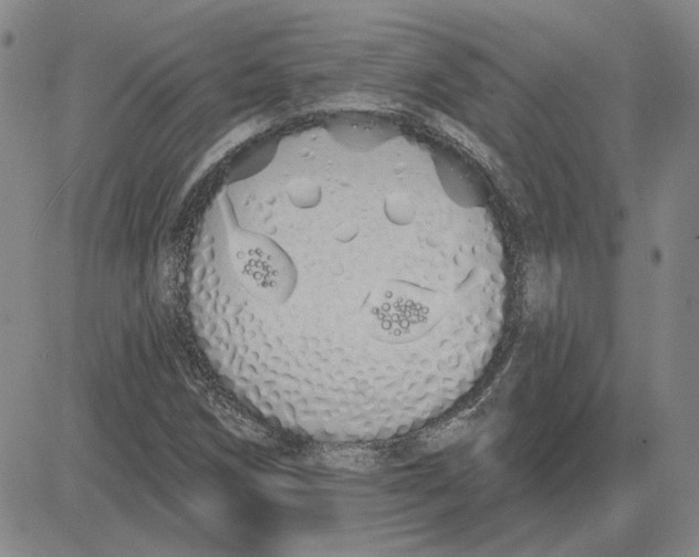 X0000080131258200701051410