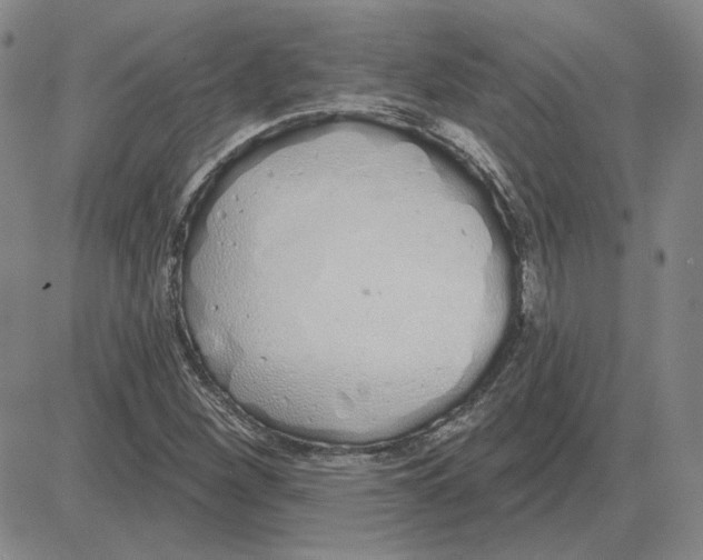 X0000080131260200701051410