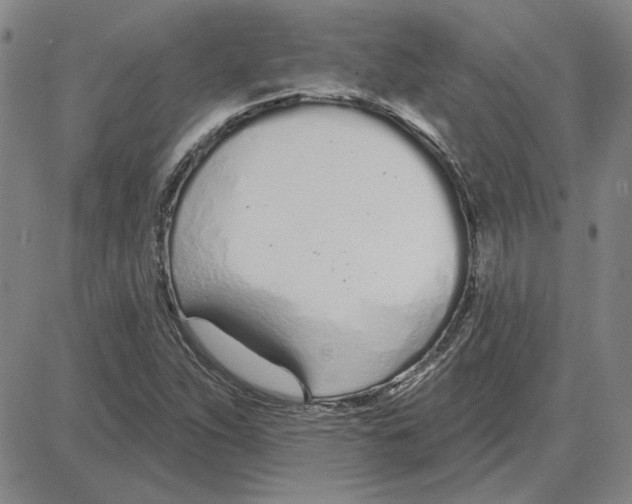 X0000080131263200701051410