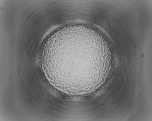 X0000080131266200701051410