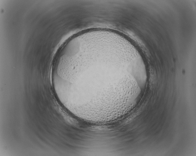 X0000080131272200701051410