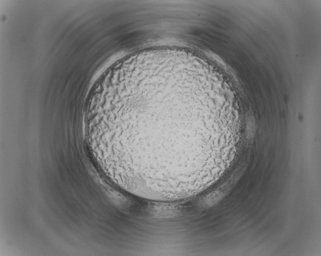 X0000080131274200701051410