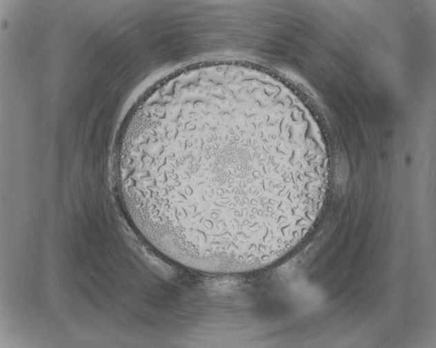 X0000080131278200701051410