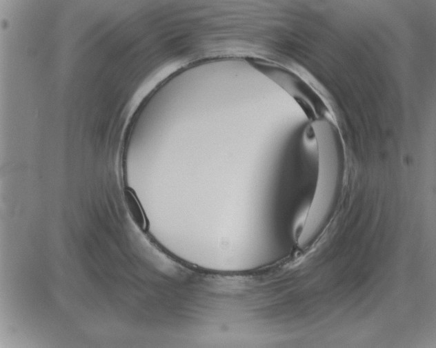 X0000080131293200701051410