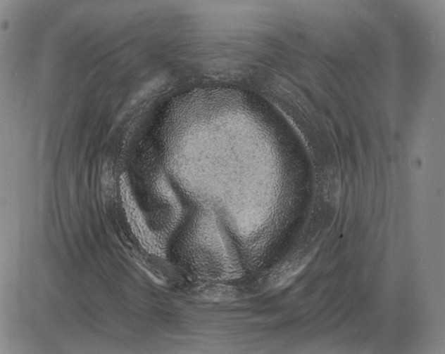 X0000080131298200701051409