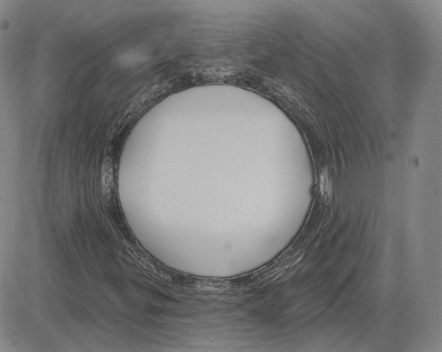 X0000080131299200701051409