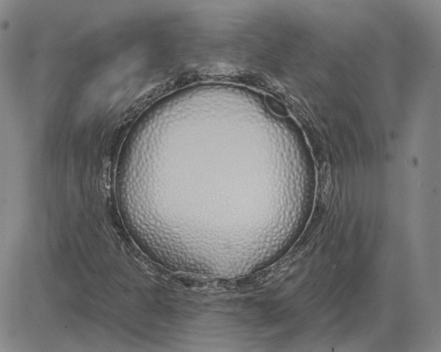X0000080131301200701051409