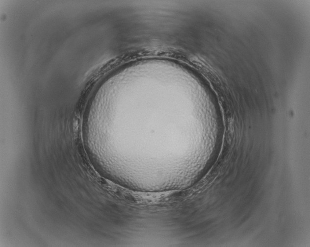 X0000080131302200701051409