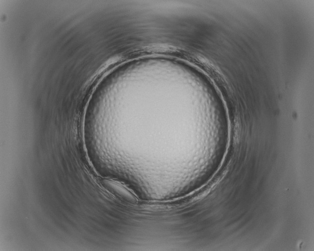 X0000080131305200701051409