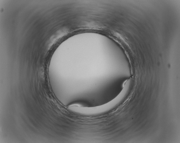 X0000080131307200701051409
