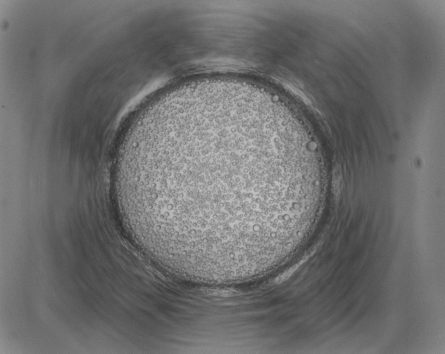 X0000080131309200701051409