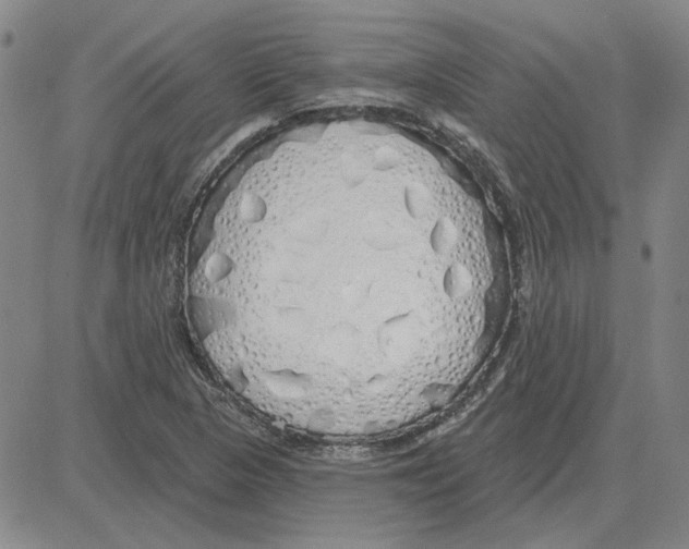 X0000080131313200701051409