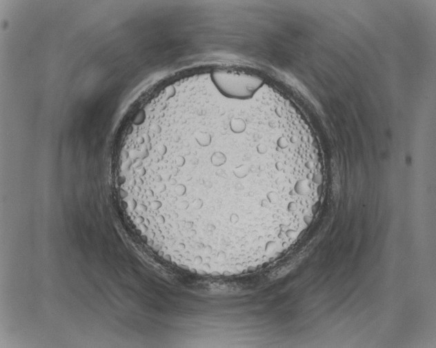 X0000080131318200701051409