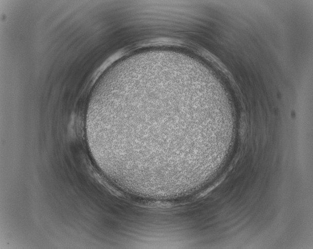 X0000080131321200701051409