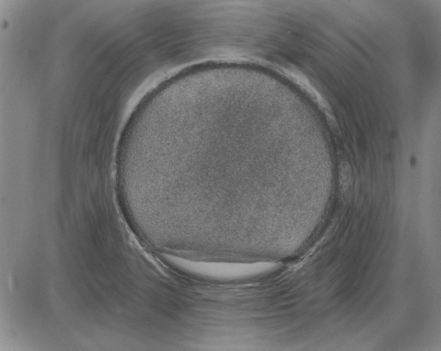 X0000080131327200701051409