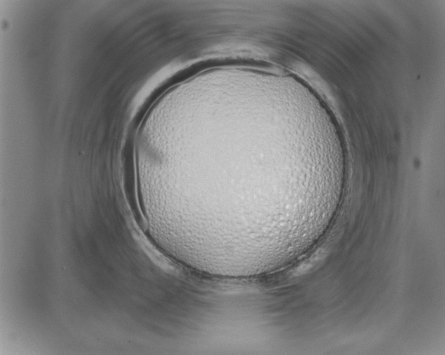 X0000080131344200701051410