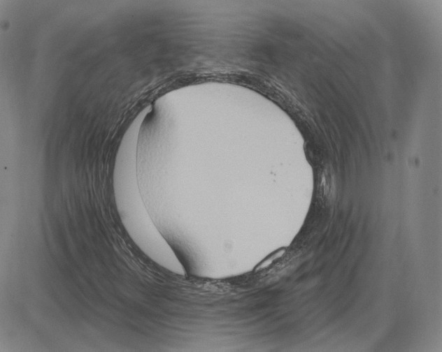 X0000080131348200701051409