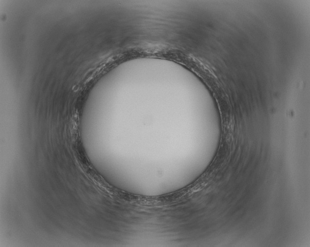 X0000080131349200701051409