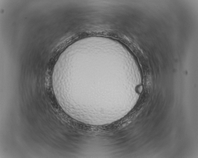 X0000080131350200701051409