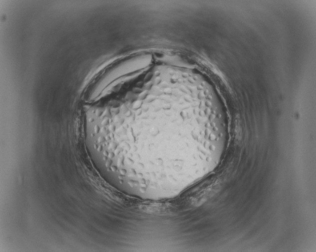 X0000080131352200701051409