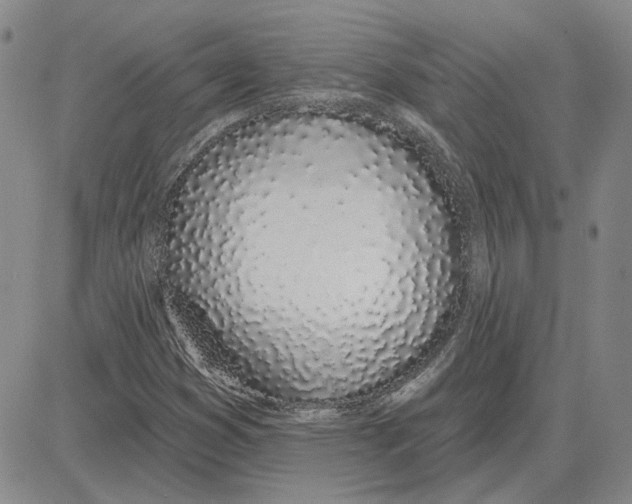 X0000080131353200701051409
