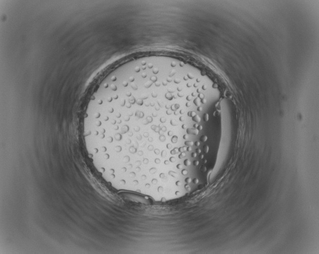 X0000080131356200701051409