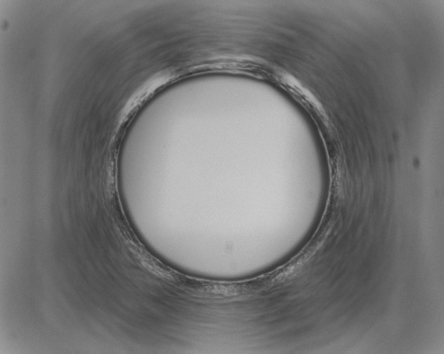 X0000080131362200701051409