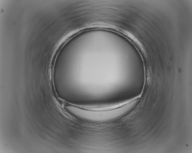 X0000080131372200701051409
