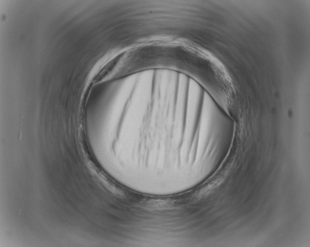 X0000080131373200701051408
