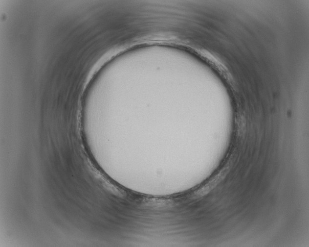 X0000080131374200701051408