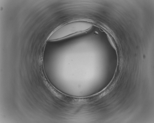 X0000080131377200701051408