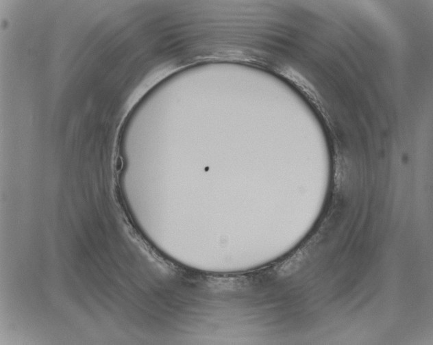 X0000080131378200701051408